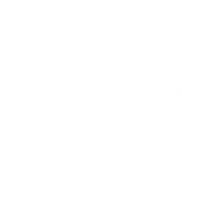 Dengh 1 cropped Dengh logo wit 1